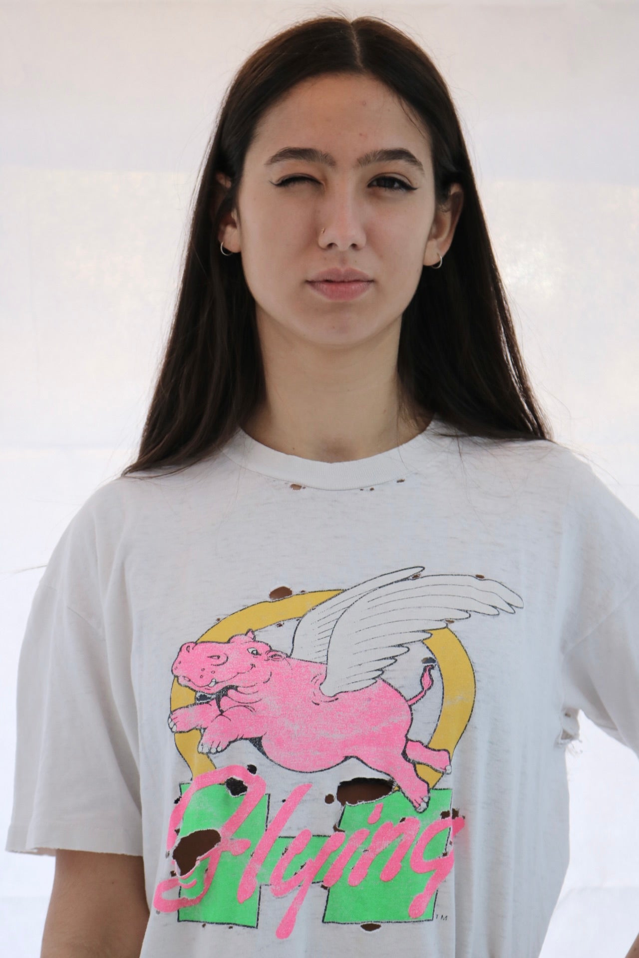 flying pig vintage t